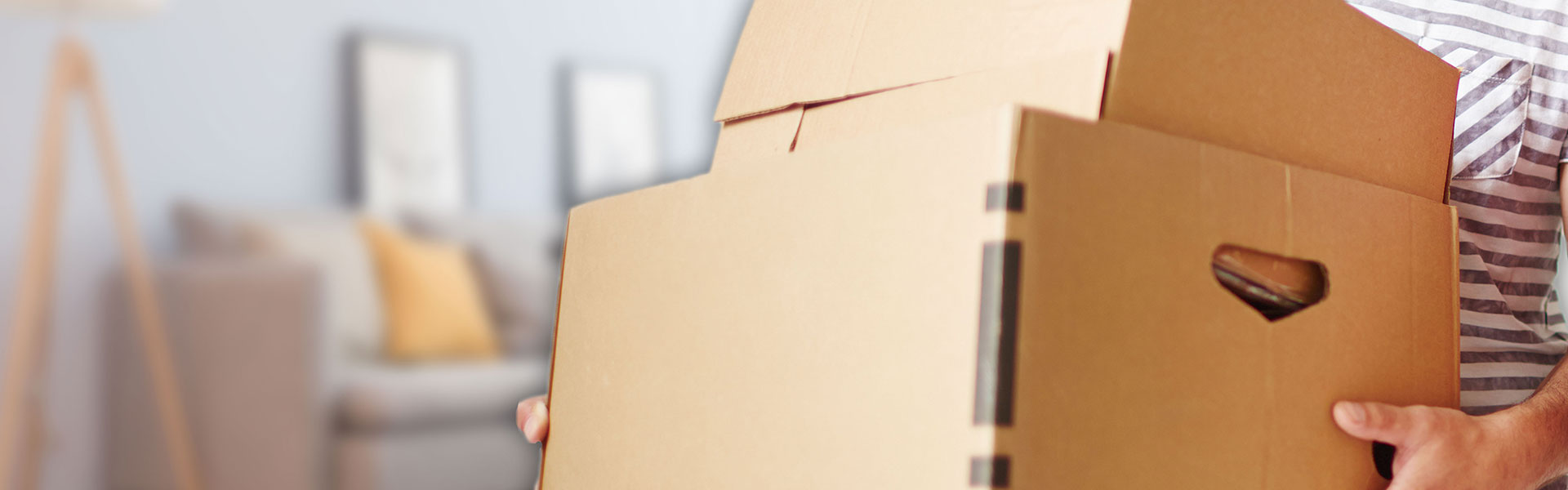 內(nèi)頁(yè)封面